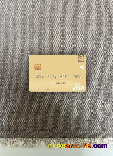 North Korea Daesong Bank visa debit card photolook